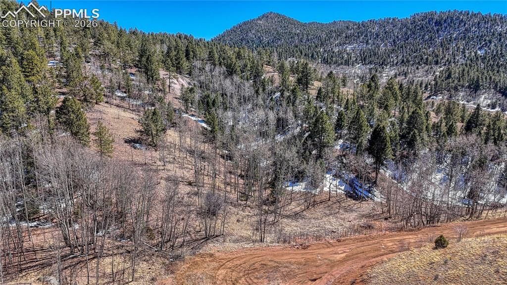 Property Photo:  513 Last Dollar Drive  CO 80813 