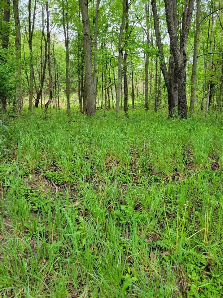 Property Photo:  00 Rt 68  PA 16255 