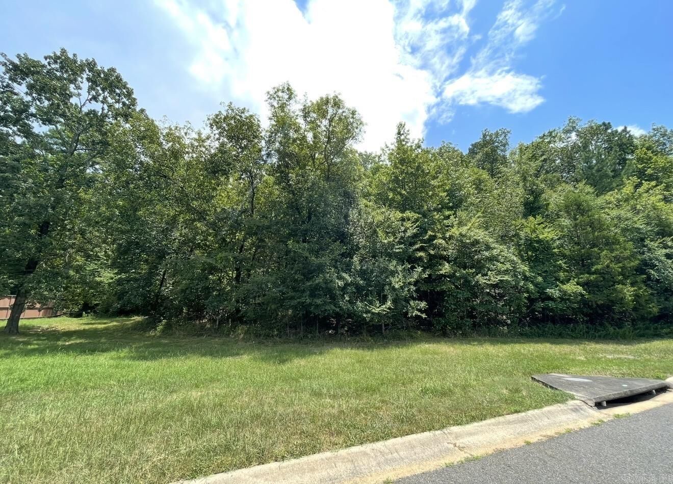Property Photo: Lot #37 Saratoga AR 71901
