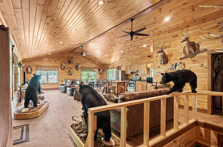 Property Photo:  884 Oak Ridge Rd  PA 16661 