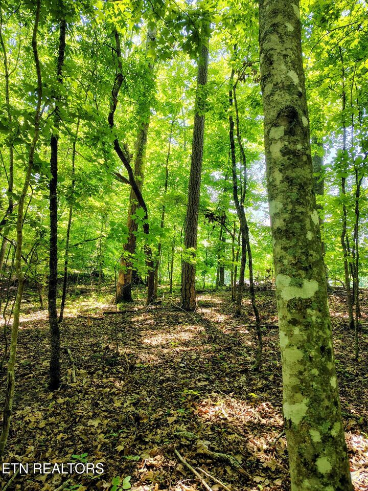 Property Photo:  138 Stooksbury Lane  TN 37705 