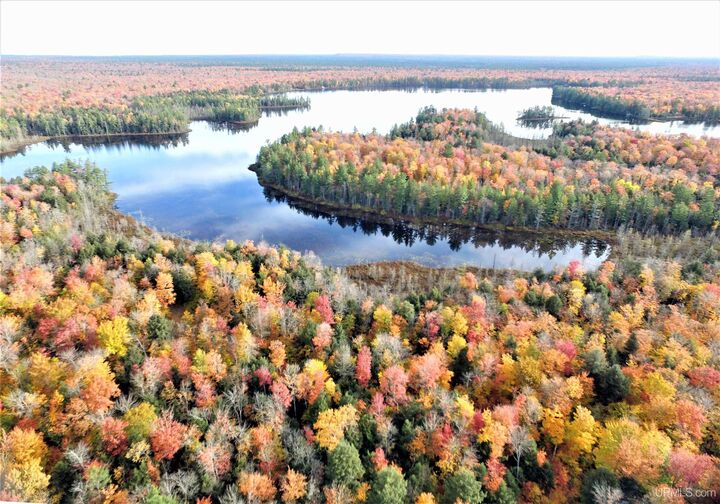 Property Photo: Xxx Nevins Lake Drive MI 49884