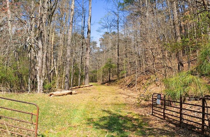 Property Photo:  54 Ac Legion Road  GA 30540 