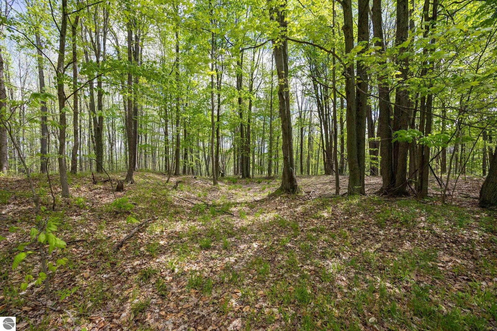 Property Photo:  16130 140th Avenue  MI 49655 