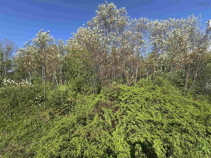 Property Photo:  Lot 06-18 Pictou Landing Road  NS B0K 1X0 