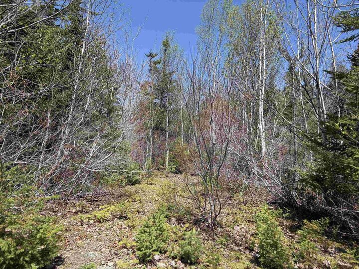 Property Photo:  Lot 22 Marble Mountain Road Road  NS B0E 2Y0 
