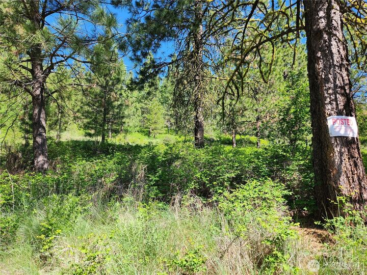 Property Photo:  0  Gold Mountain Road  WA 99166 