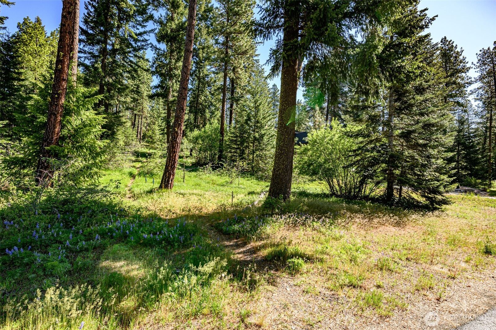Property Photo: 1980 Coal Mine Way WA 98922