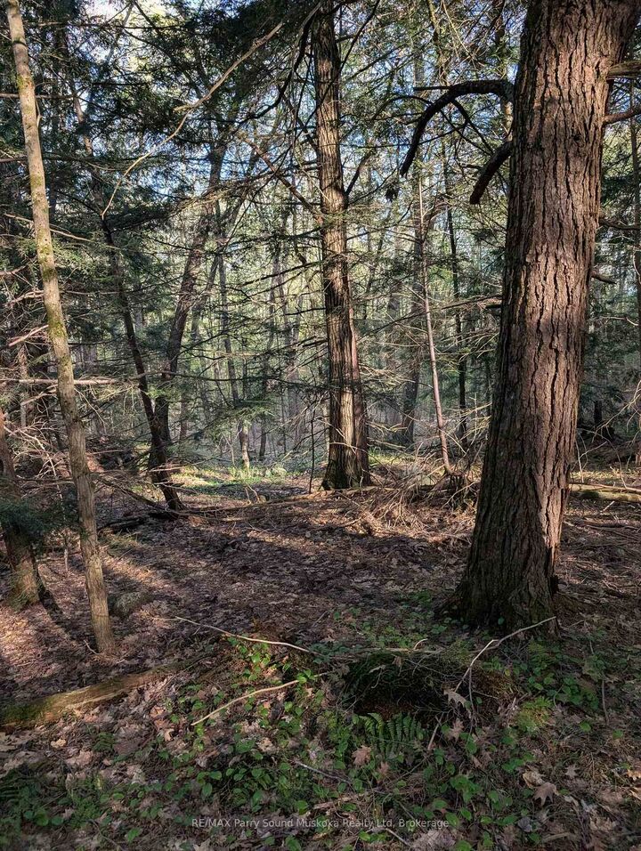 Property Photo:  0 Sugar Lake Road  ON P2A 2W9 
