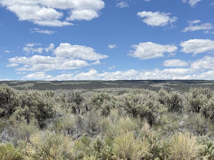 Property Photo:  4323 S Scenic Dr  UT 84759 