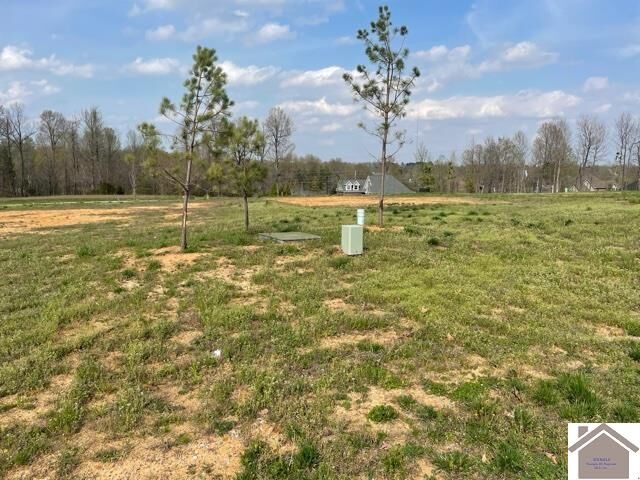 Property Photo: 225 Falling Brook Dr KY 42003
