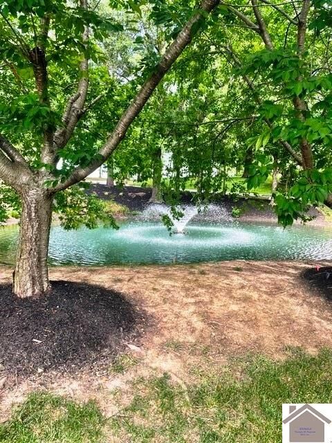 Property Photo: 225 Falling Brook Dr KY 42003