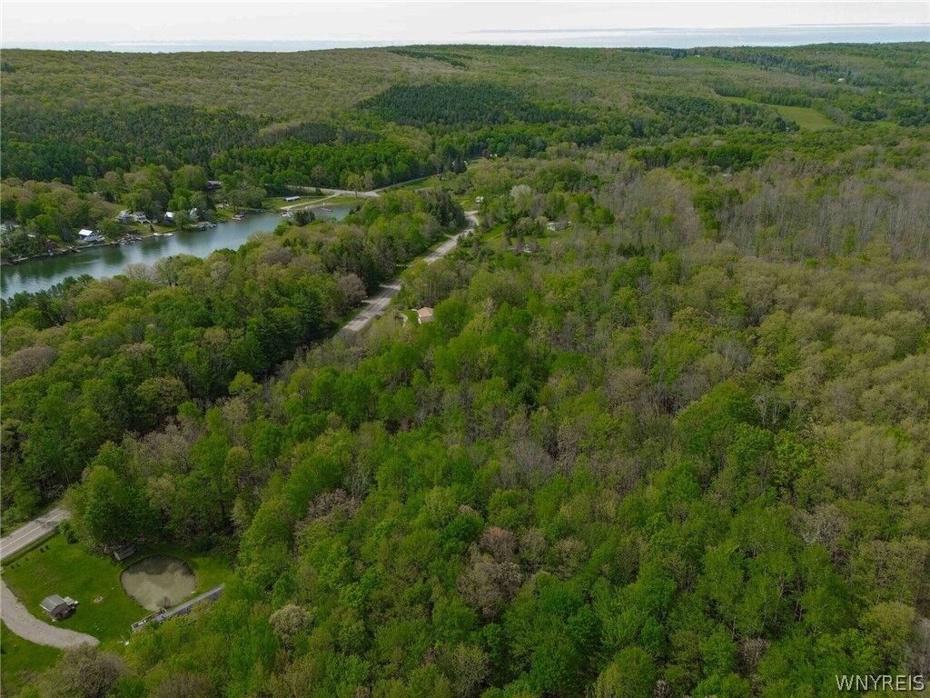 Property Photo: V/L County Road 49 NY 14777