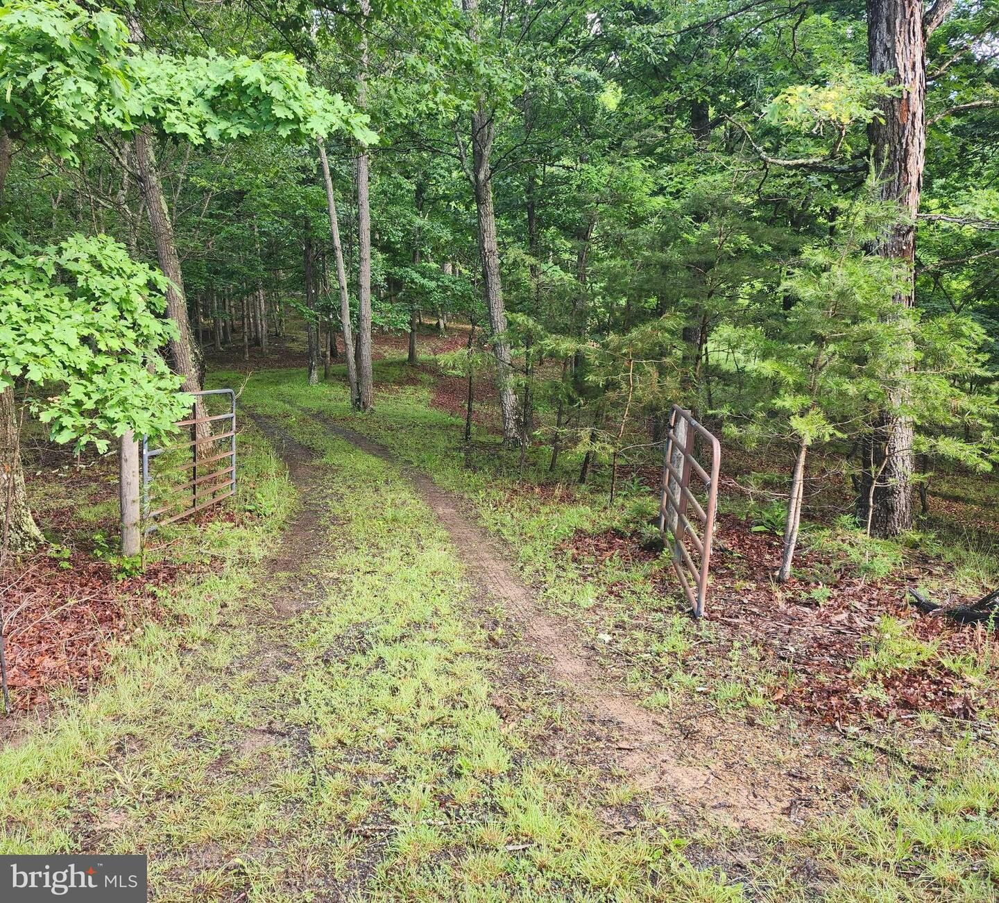 Property Photo: Lot 37 Bobcat Holw WV 26757