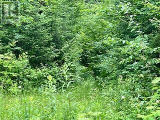 Property Photo: Lot 5 Georges Road ON P0H 1E0