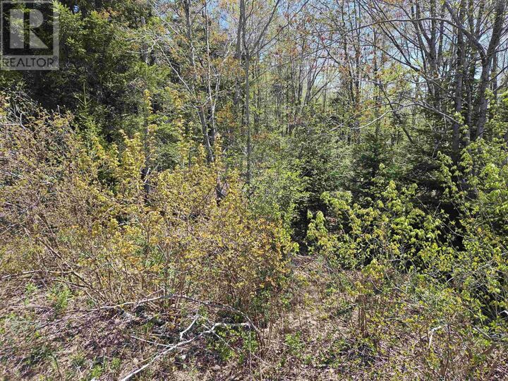 Property Photo:  720 Lucasville Road  NS B4B 1R9 