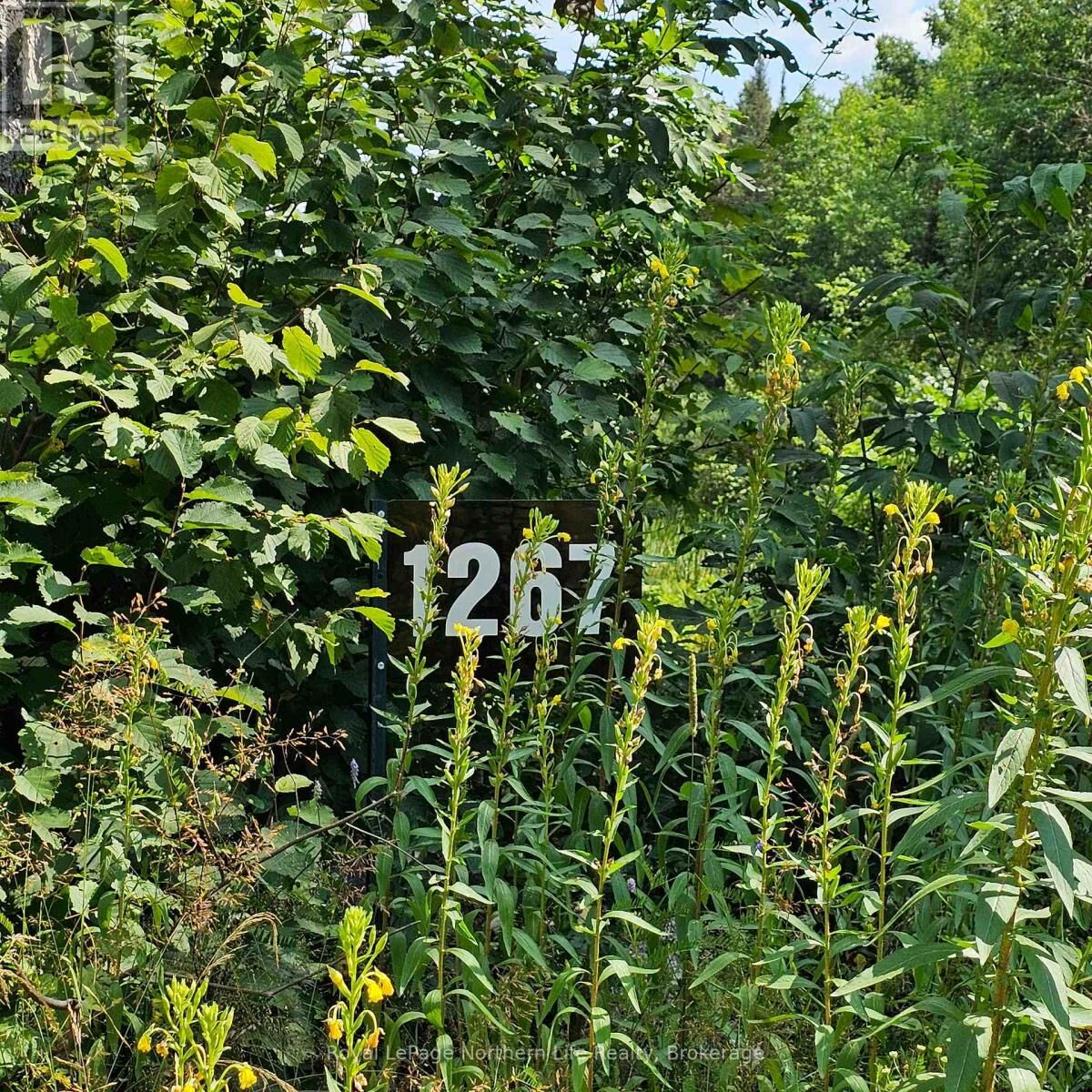 Property Photo:  1267 Snake Creek Road  ON P0H 1V0 