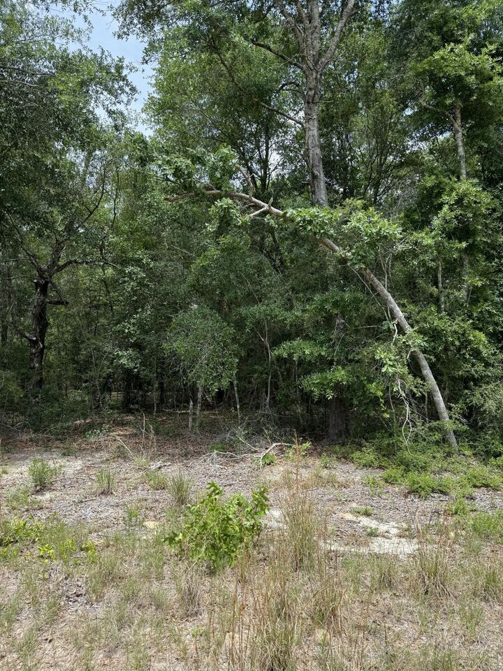Property Photo: Tbd Christopher Lane FL 32539