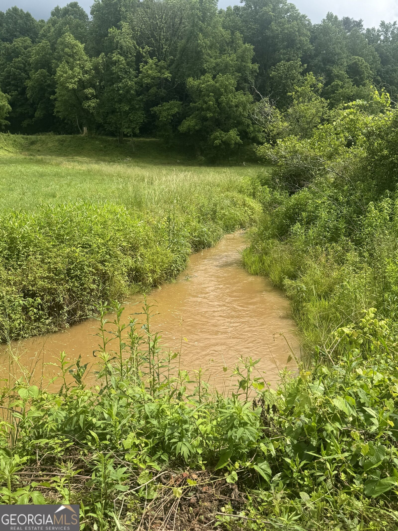 Property Photo: 00 Tails Creek Rd GA 30540