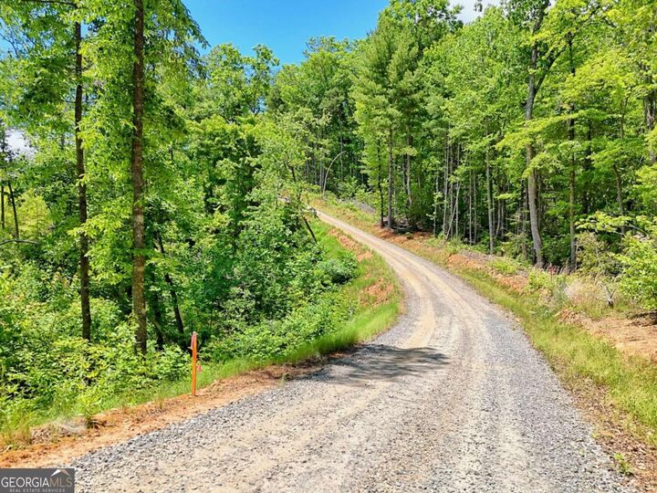Property Photo:  Lot 28 Bryson Creek  NC 28906 