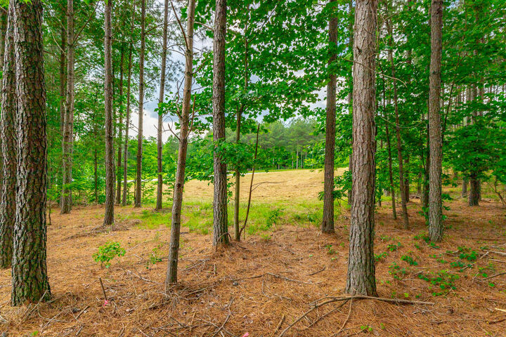 Property Photo:  0 Crockett Loop  TN 37347 