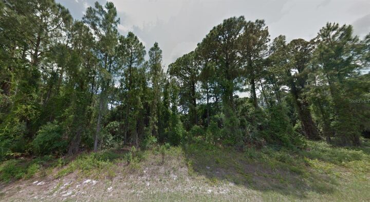 Property Photo: Abernant Avenue FL 34287