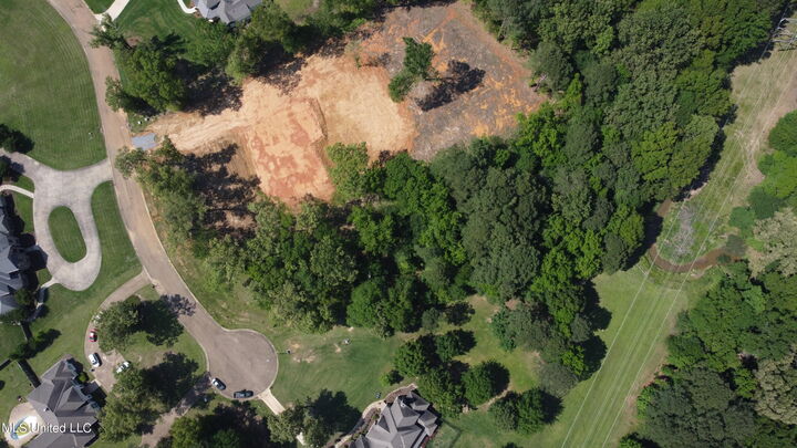 Property Photo: Lot 4 Chantilly Drive MS 39110