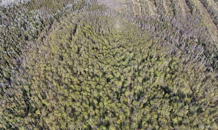 Property Photo: Tbd County Line Road MI 49847