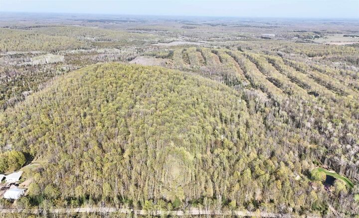 Property Photo: Tbd County Line Road MI 49847