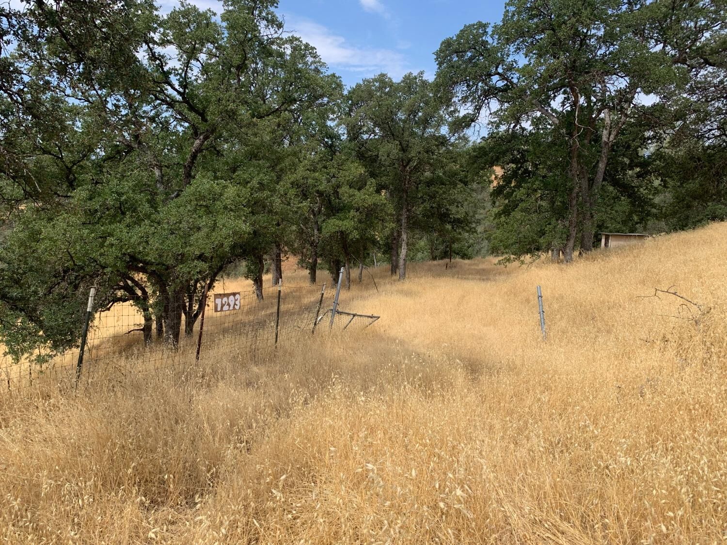 Property Photo:  7293 Hawk Court  CA 96021 