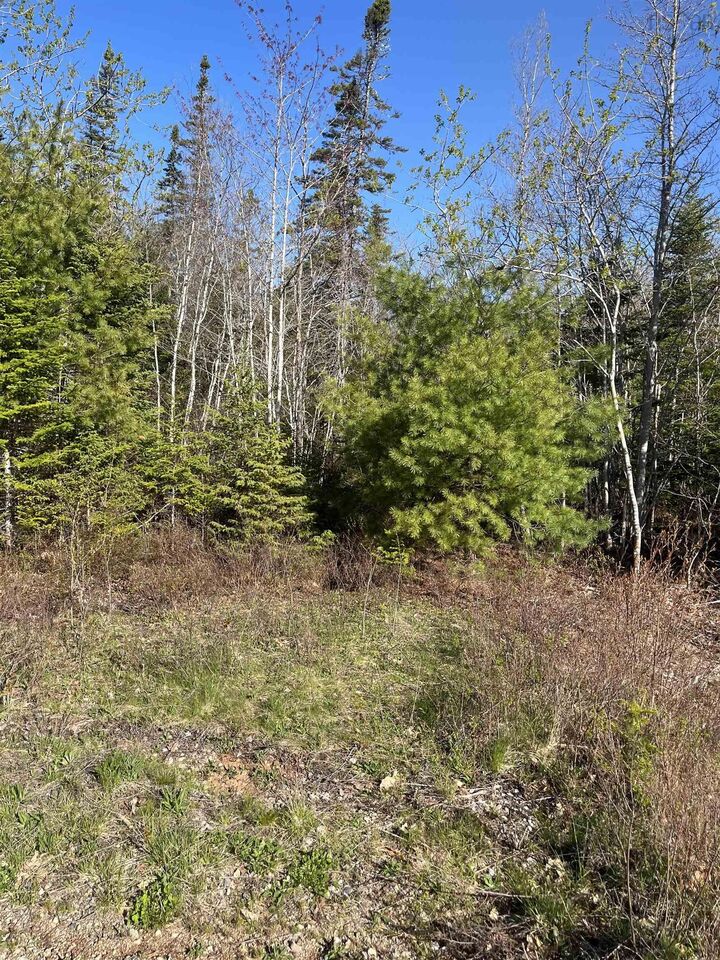Property Photo:  Lot 2 Ridge Road  NS B0R 1H0 
