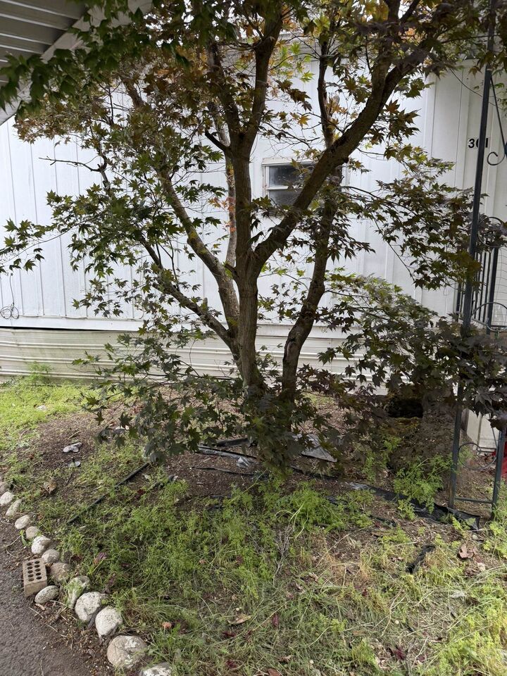 Property Photo:  3231 W Boone Ave 301  WA 99201 
