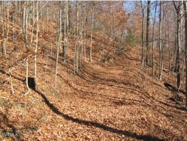 Property Photo:  Tbd Bailey Cemetery Road  TN 37879 