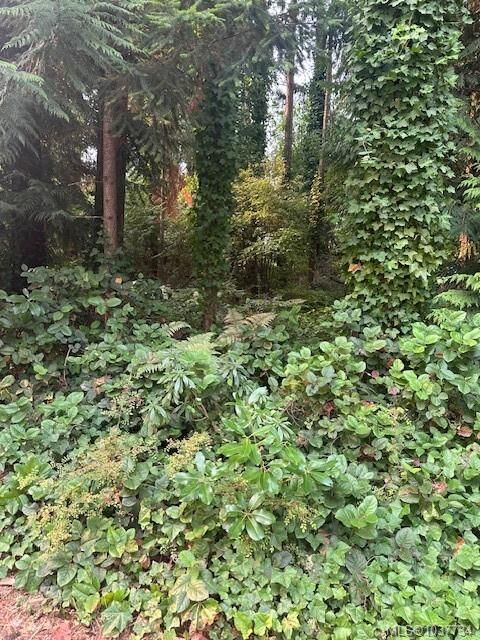 160 Harlech Rd — photo 1