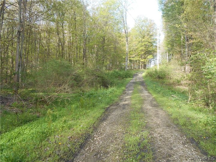 Property Photo:  0 Neamon Drive  NY 14042 