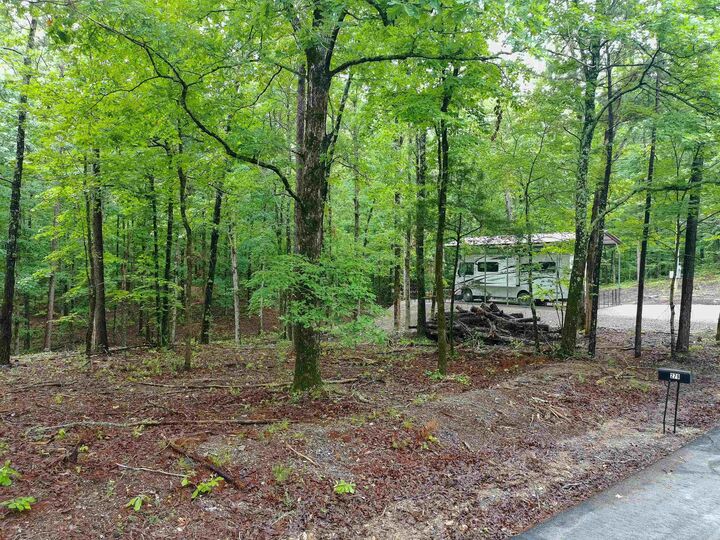 Property Photo:  279 Needham Road  AR 71901-9471 