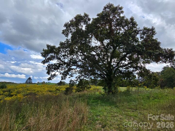 Property Photo:  128 Cook Lane (25 Acres)  NC 28759 