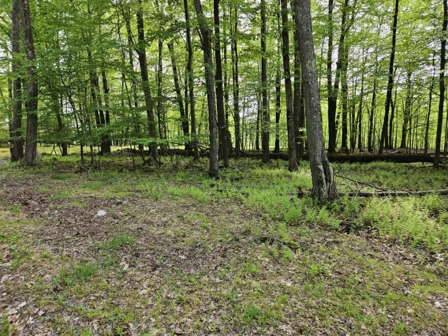 Property Photo:  15 Carribean Rd  PA 15801 