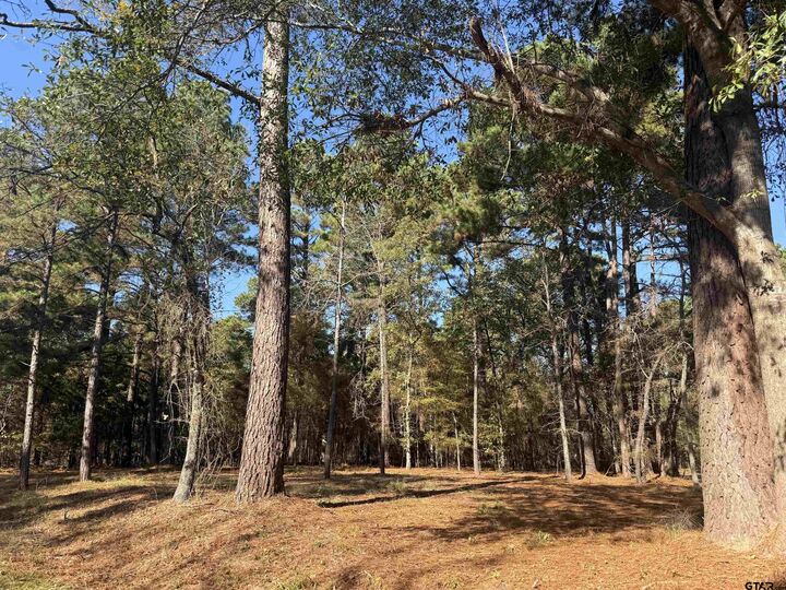 Property Photo:  186 Susan Dr  TX 75757 