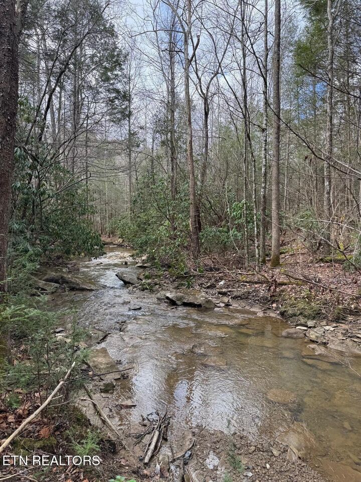 Property Photo:  0 Highway 3484  KY 40977 