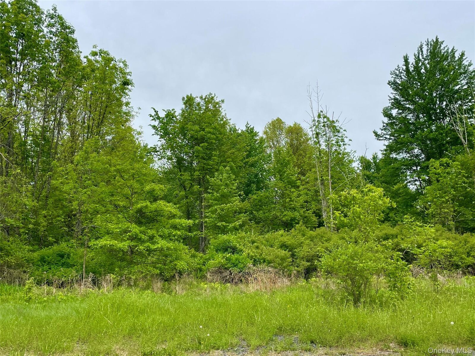 Property Photo:  Orchard Drive  NY 12568 