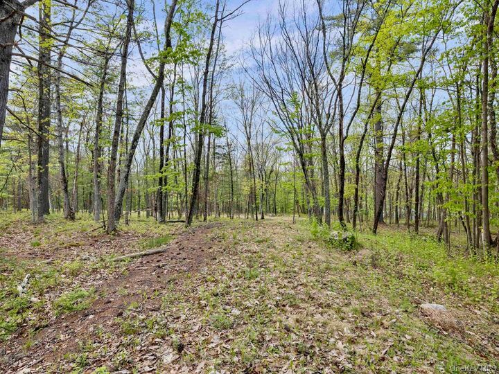 Property Photo:  Tbd Route 44/55  NY 12446 