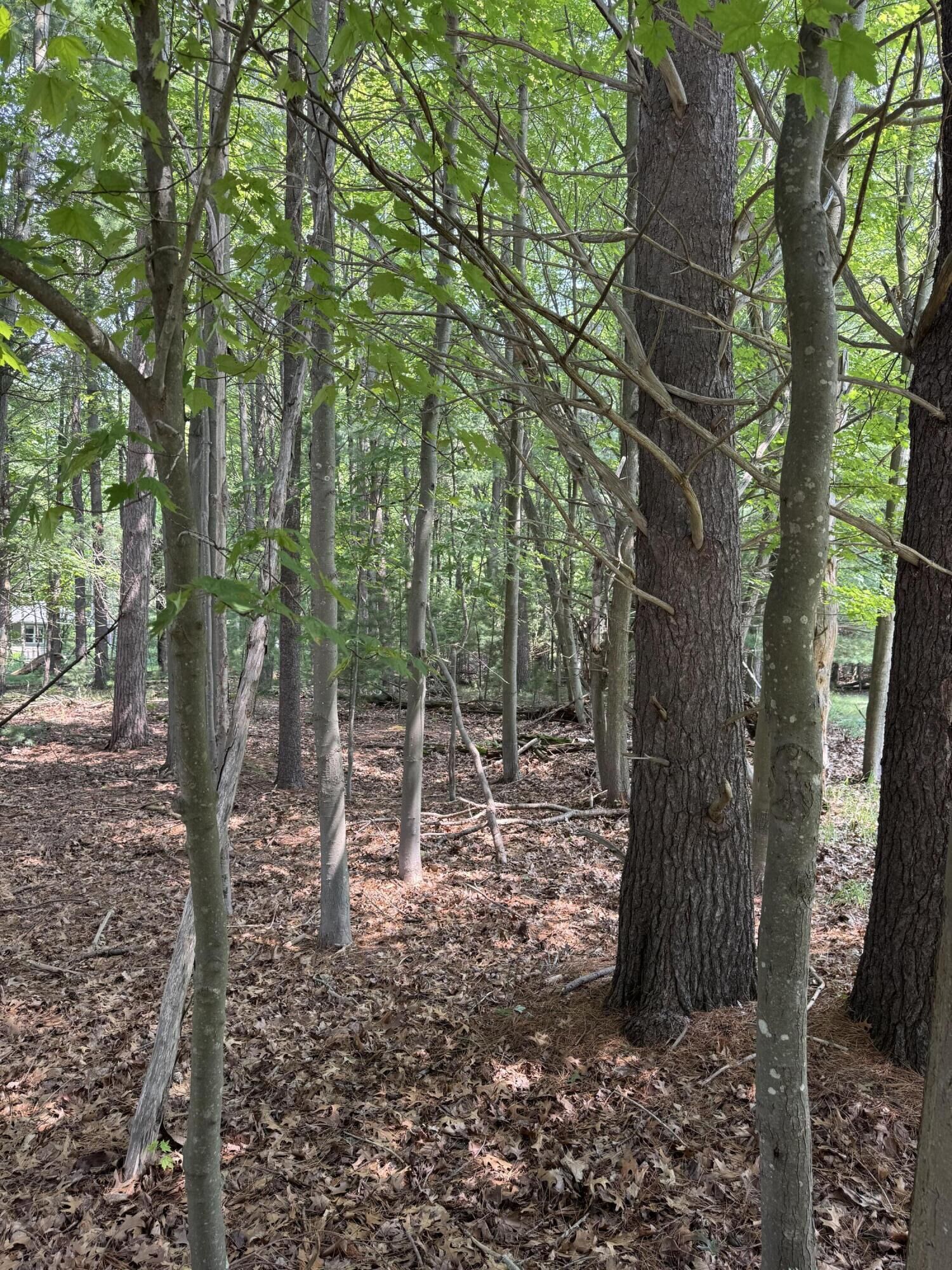 Property Photo:  Vl 3rd Avenue  MI 49449 
