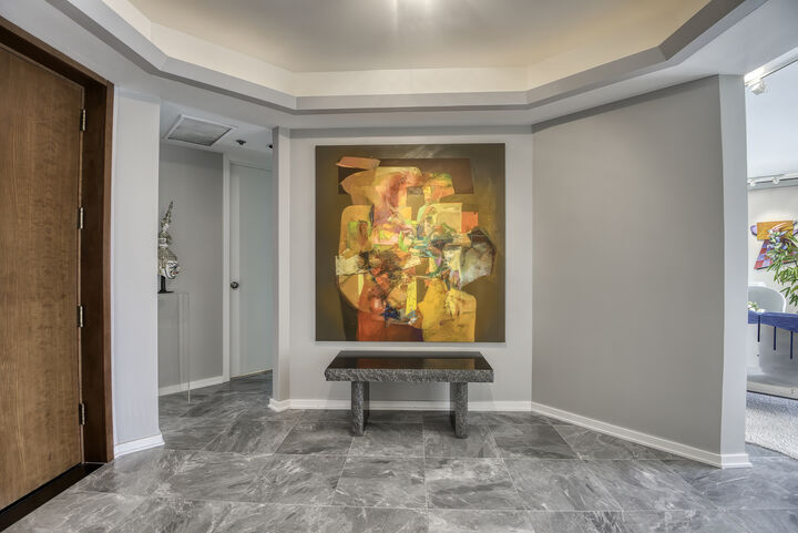 Property Photo: 950 N Michigan Avenue 3702 IL 60611