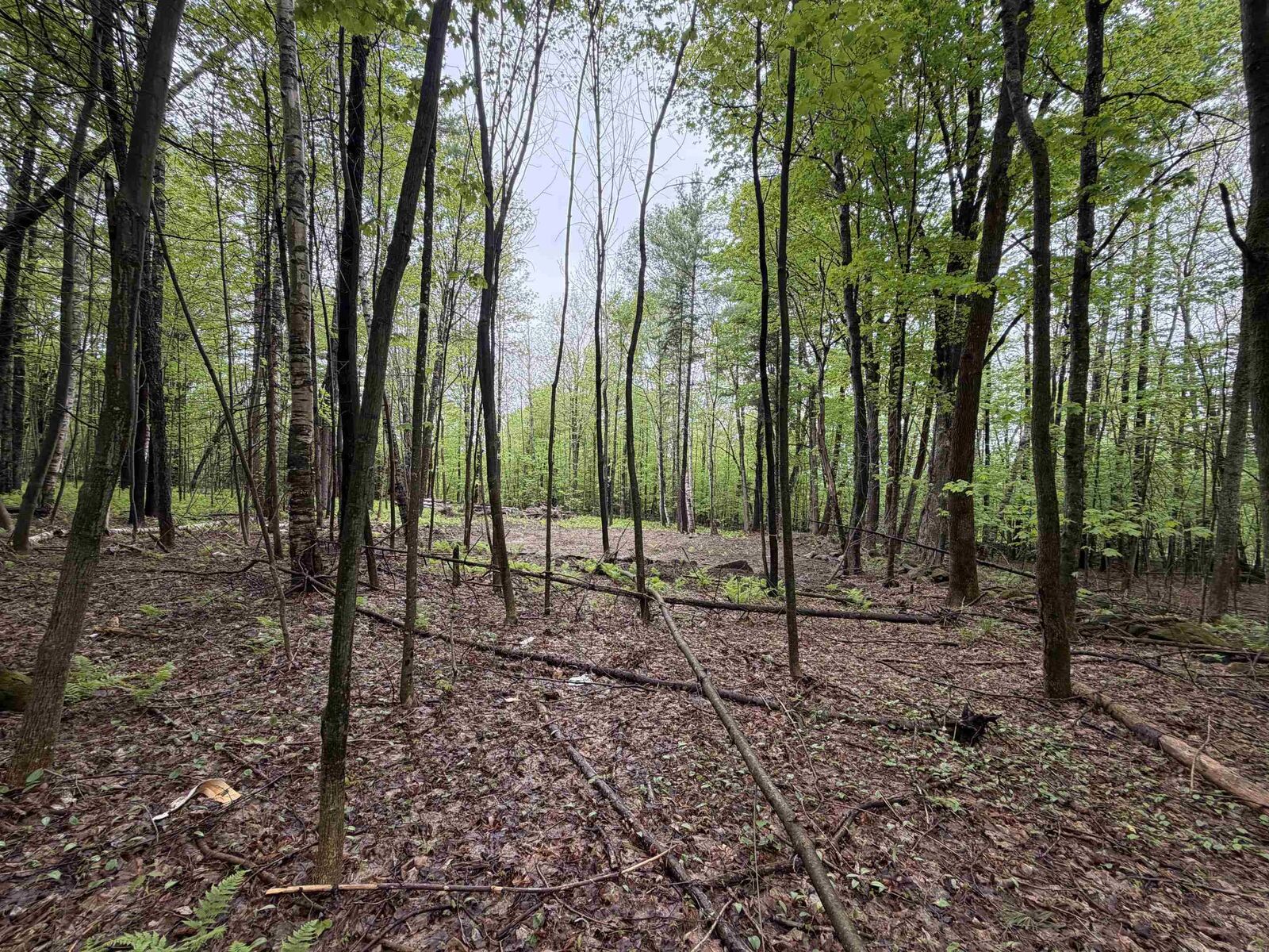 Property Photo:  114 Lewis Hill Road  NH 03574 