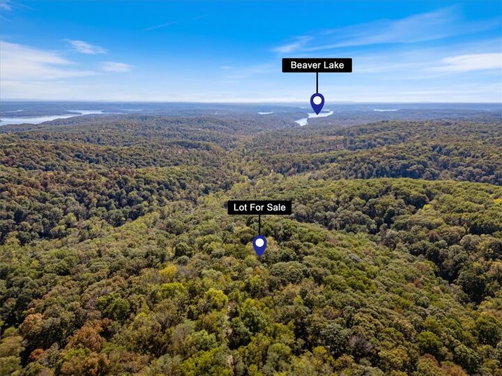 Property Photo:  Lot 261 Aster Drive  AR 72756 