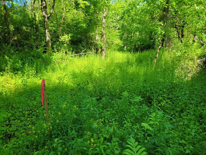 Property Photo:  Lot 6 Daniels Rd  MA 01507 