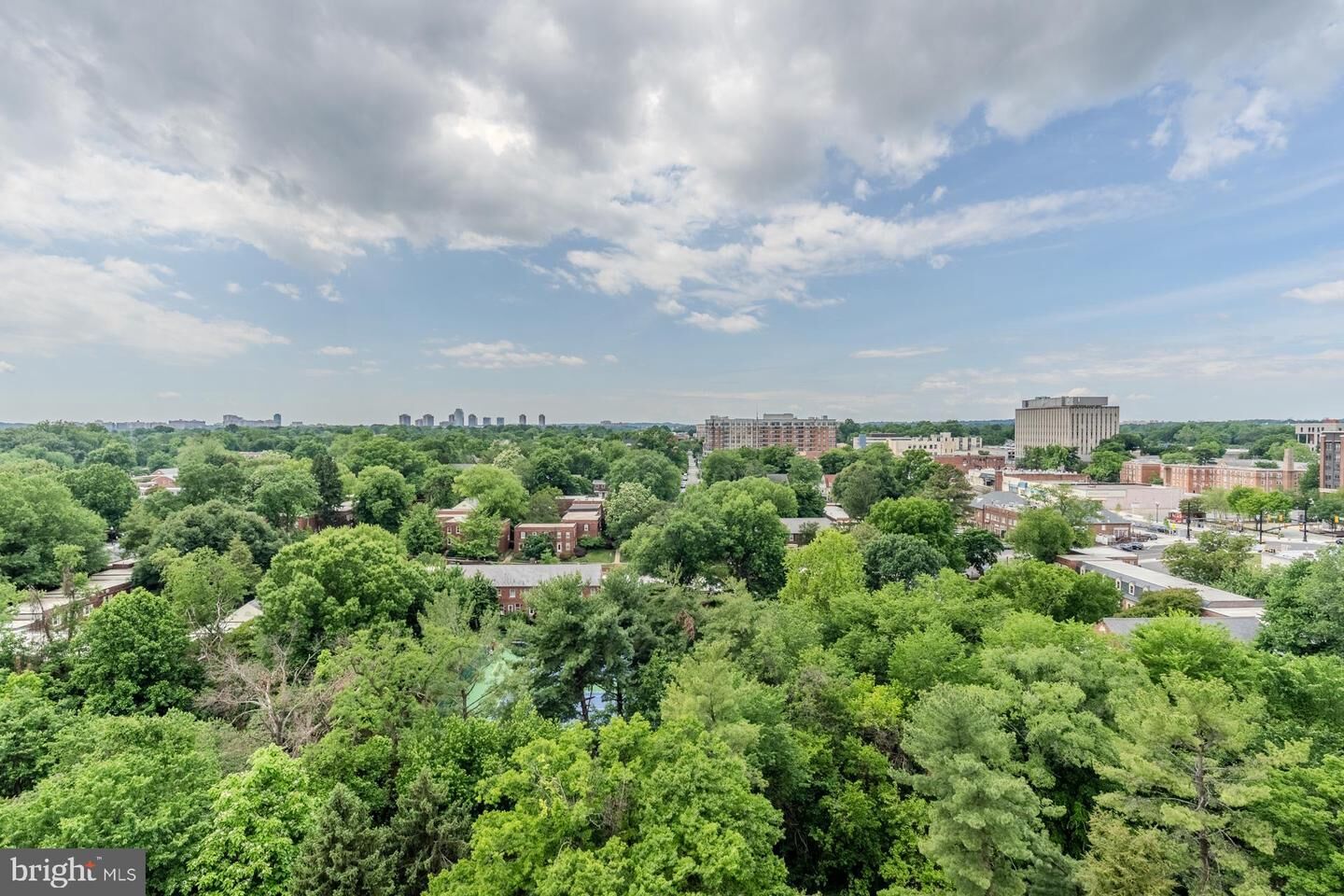 Property Photo:  1016 S Wayne Street 910  VA 22204 
