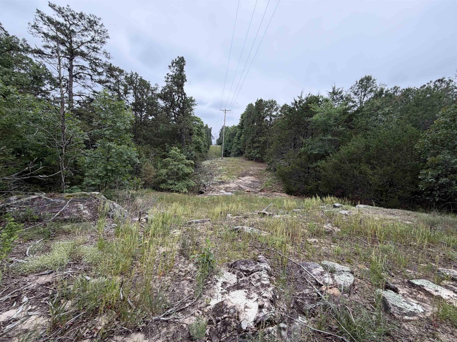 Property Photo:  1031 Old Dolph Road  AR 72519 