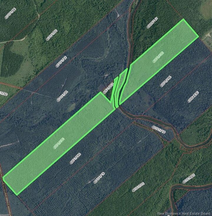 104 Acres Waterfront Russellville Road — photo 1